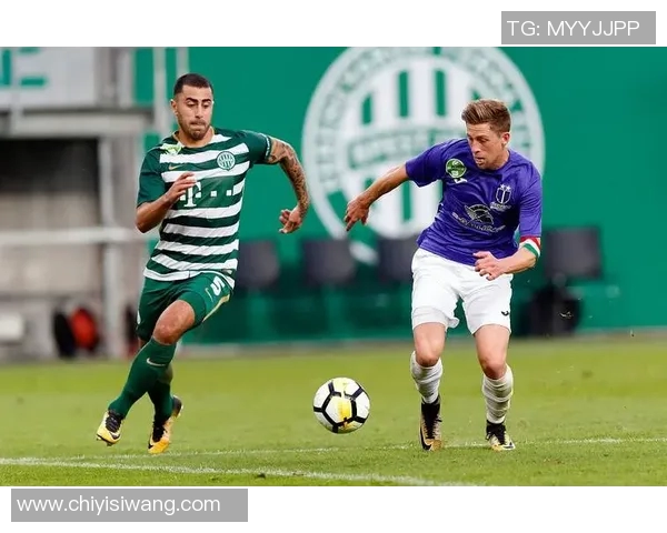 匈牙利与冰岛足球对决结果揭晓精彩瞬间回顾与分析